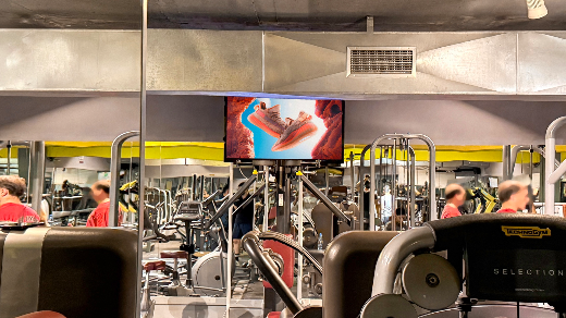 Star Gym - Alek Manukyan - #2