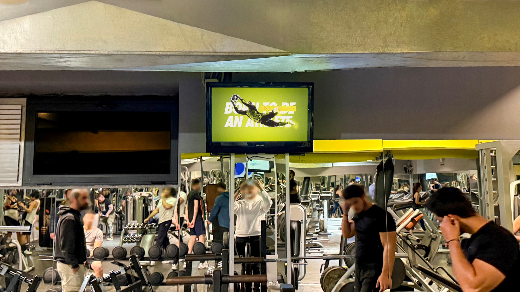 Star Gym - Alek Manukyan - #1